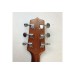 TAKAMINE GD10 NS